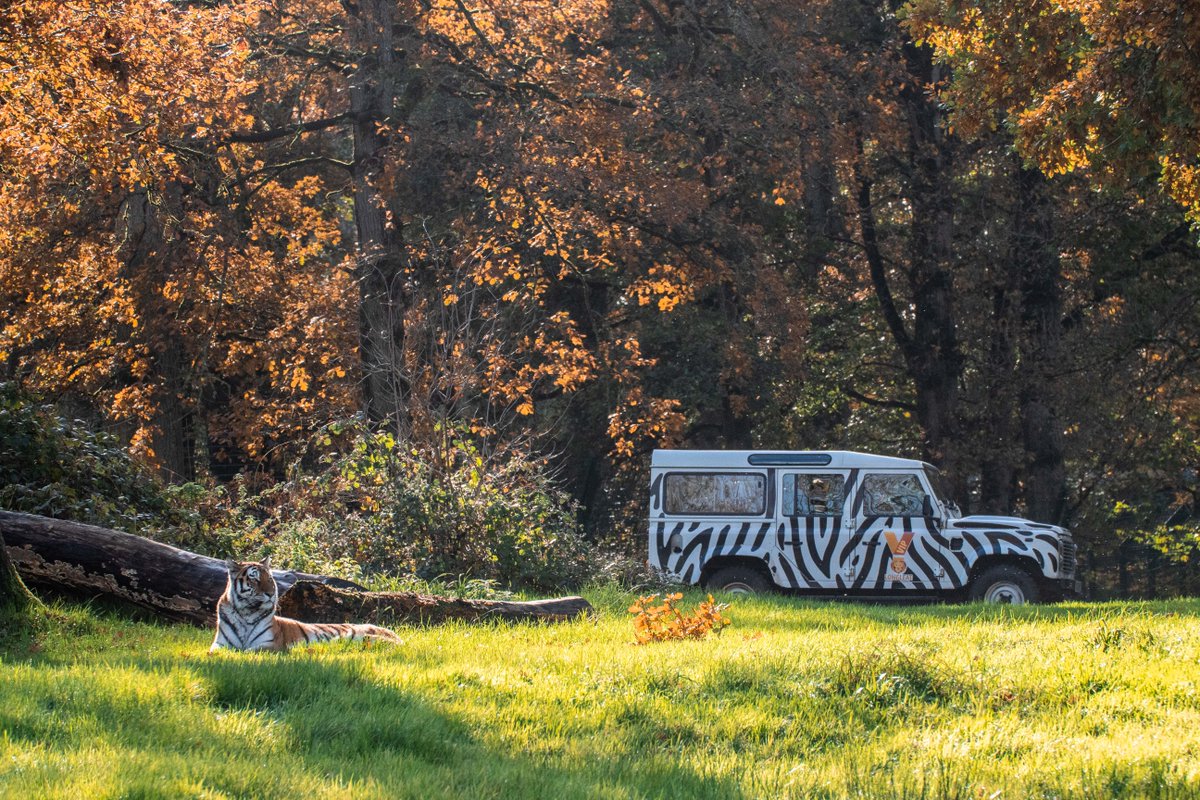 Longleat tweet media