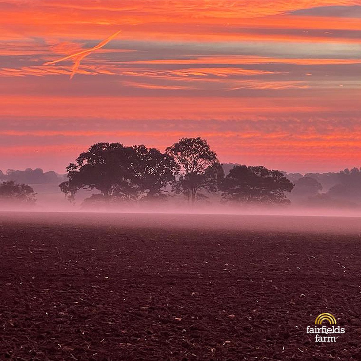 FairfieldsFarm's tweet photo. Anyone awake early enough to see the sunrise this morning got an incredible surprise, turns out there are a few perks to working early mornings 😉🌄🚜

#FairfieldsFarm #Sunrise #Crisps #Potatoes #onthefarm #straightfromthefarm #familyfarm #Earlymornings #Beauitiful #EastAnglia https://t.co/p0VxyEvciF