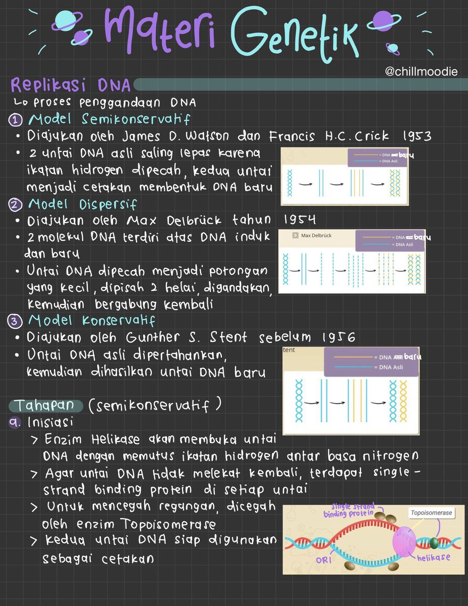 chillmoodie's tweet photo. – materi genetik
[biologi kelas 12]
pdf: https://t.co/RutcCm7150

sumber: rg dan zen
#catatanambis
#catetannya_sal https://t.co/d7y9Jn5YAv