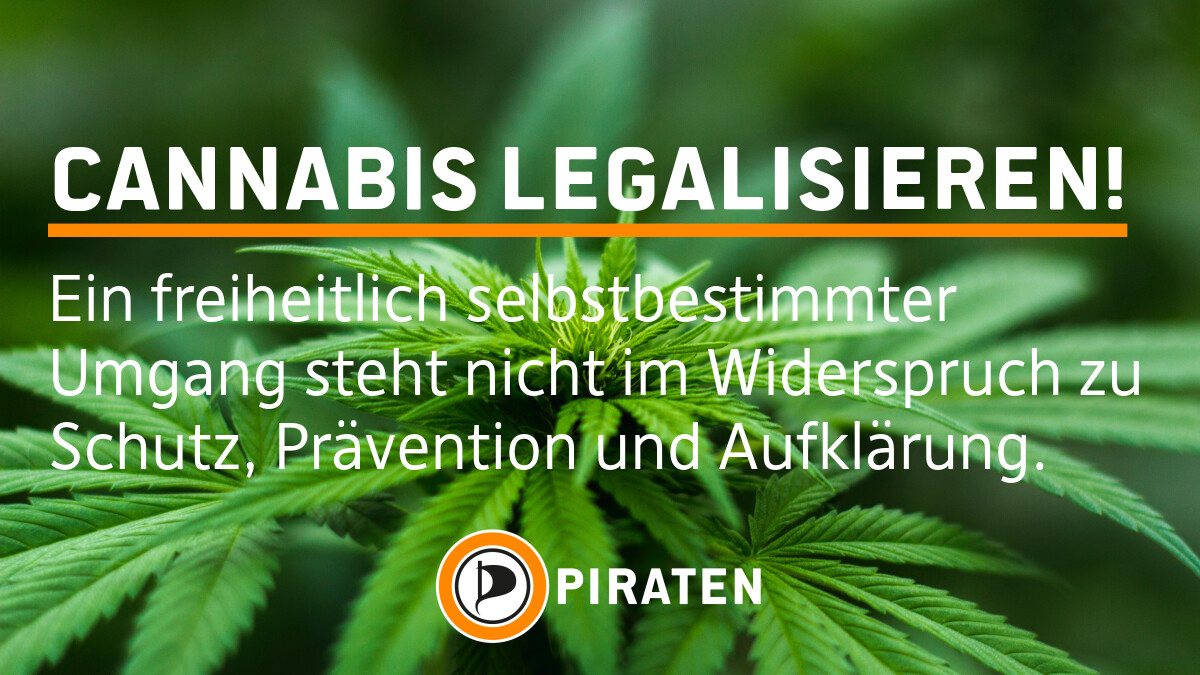Foto von Hanfpflanzen. Text: Cannabis legalisieren! Ein freiheitlich selbstbestimmter Umgang steht nicht im Widerspruch zu Schutz, Prävention und Aufklärung.