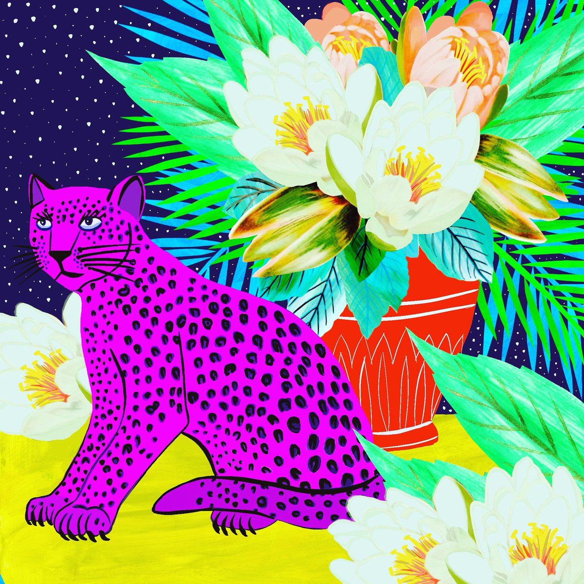 birdagram's tweet image. #illustration #makeartthatsells #Procreate #procreateart Sign up for cool Procreate intel and courses mailchi.mp/3d5f119e7a28/p…