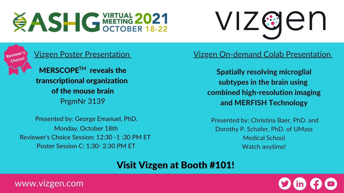 vizgen_inc's tweet photo. π©βπ¬#ASHG21 start today! Visit @vizgen_inc at booth #101 to learn how ourΒ #MERSCOPE Platform will enable you to #ExploreNewDimensions with #SpatialContext. Our poster PrgmNr 3139 will be featured in the Reviewer's Choice Session at 12:30 PM- https://t.co/ypHEZCuSF7 https://t.co/O4ylrRBKfK