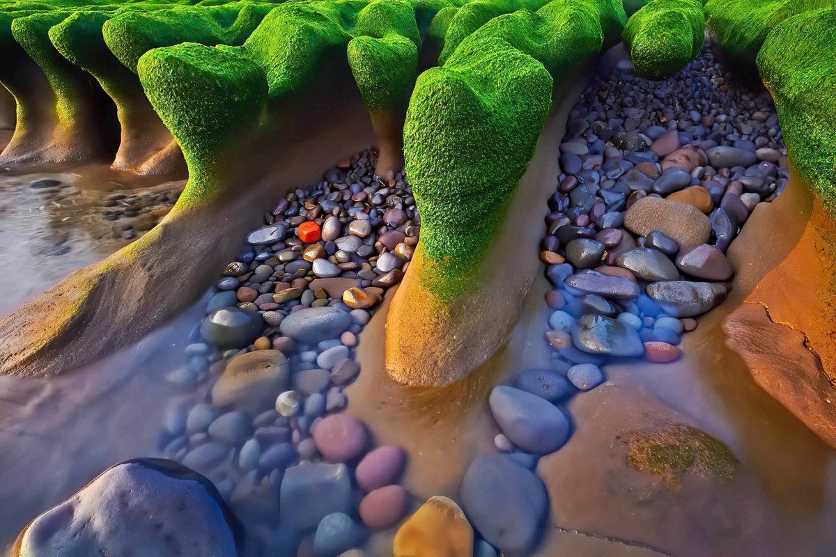 Камни вода рыбы. Красивые камни в воде. Красивые водоросли. Цветные камушки. Море камни.
