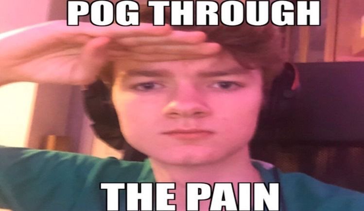 star / lua 🍉 tweet media