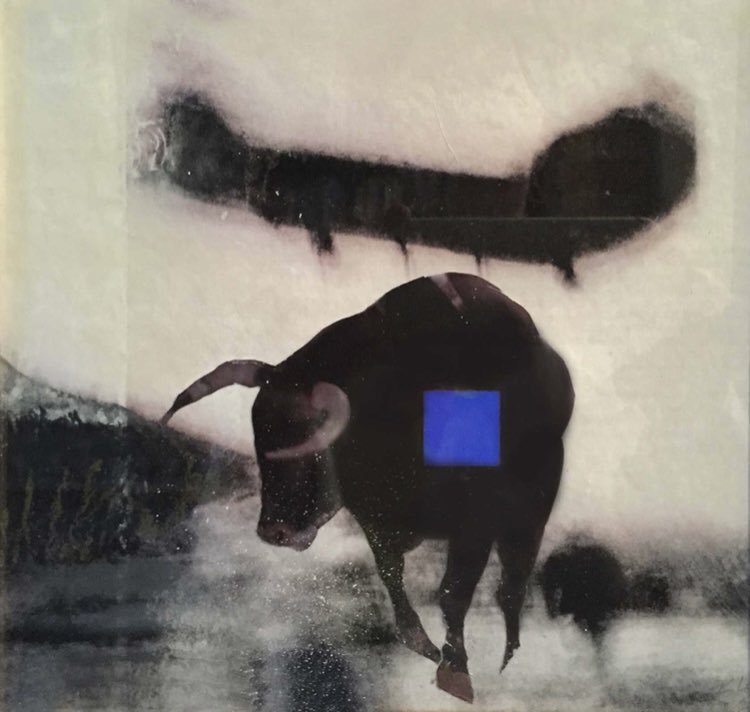 Issue XXV is live and we are so delighted to share it with you! Thanks as always to our contributors, editors and readers, you are what makes this journal so special

Waxwingmag.org