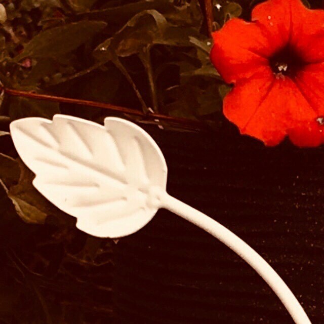 Blatt mit Blume.
#whiteandred
•
•
•

v_flowers #lenslones_nature #transfer_visions #top_favourite_flowers #lightzine #moody_nature #bpa_nature #inspired_by_color #myeverydaymagic #dreamland_arts_of_nature #forever_magazine #allbeauty_addiction #allur… instagr.am/p/CVLPAHuIWRt/