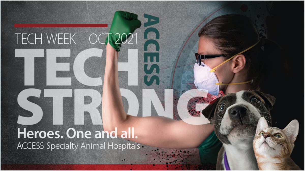 It's that time of year again when we recognize the invaluable contribution Veterinary Technicians provide to the care of sick or injured animals. So, on behalf of all veterinarians, pet owners, and of course, pets, we'd like to say thank you for everything you do. You rock!