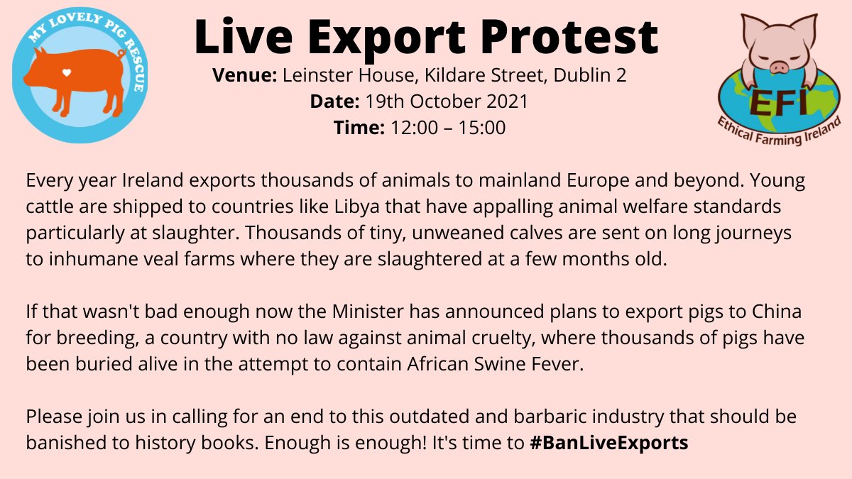 ethicalfarmIE's tweet image. Please come along tomorrow and speak up for the thousands of innocent animals who have no voice - 150,000 tiny unweaned calves, tens of thousands of young bulls, sheep and pigs exported to Europe and as far afield as Libya and now China! @McConalogue  #BanLiveExport #PigsDontFly