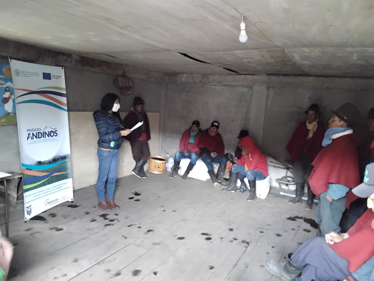 FAOEcuador's tweet photo. 🌳En la comunidad Laihua Curiñan de la parroquia Simiatug, en Bolívar, trabajamos con 80 familias en alternativas de producción sostenible y seguridad alimentaria. #PaisajesAndinosEc @AgriculturaEc @Ambiente_Ec @UEenEcuador https://t.co/V4uIKbtciZ