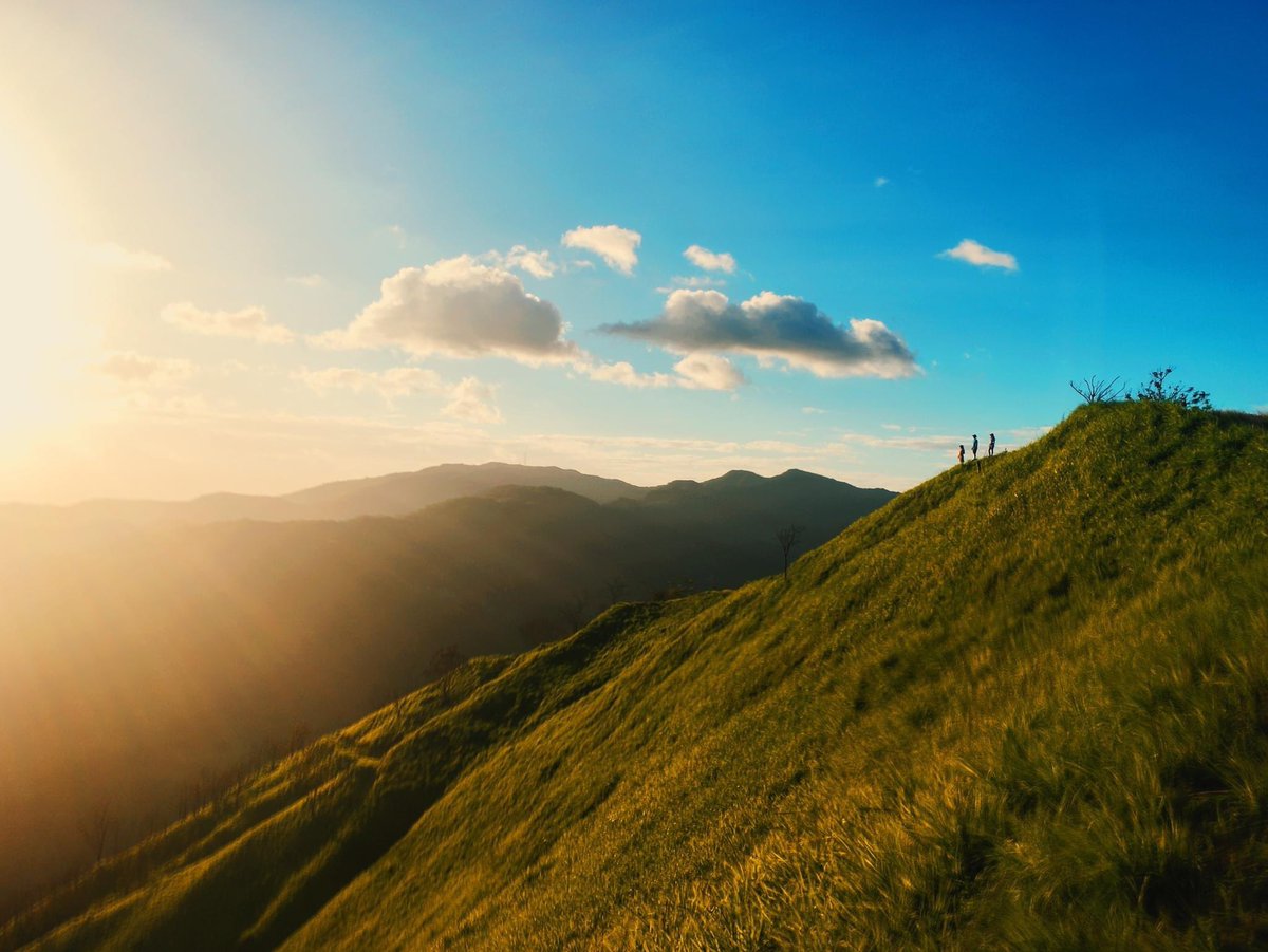 Let the light shine through ✨
localguest.com