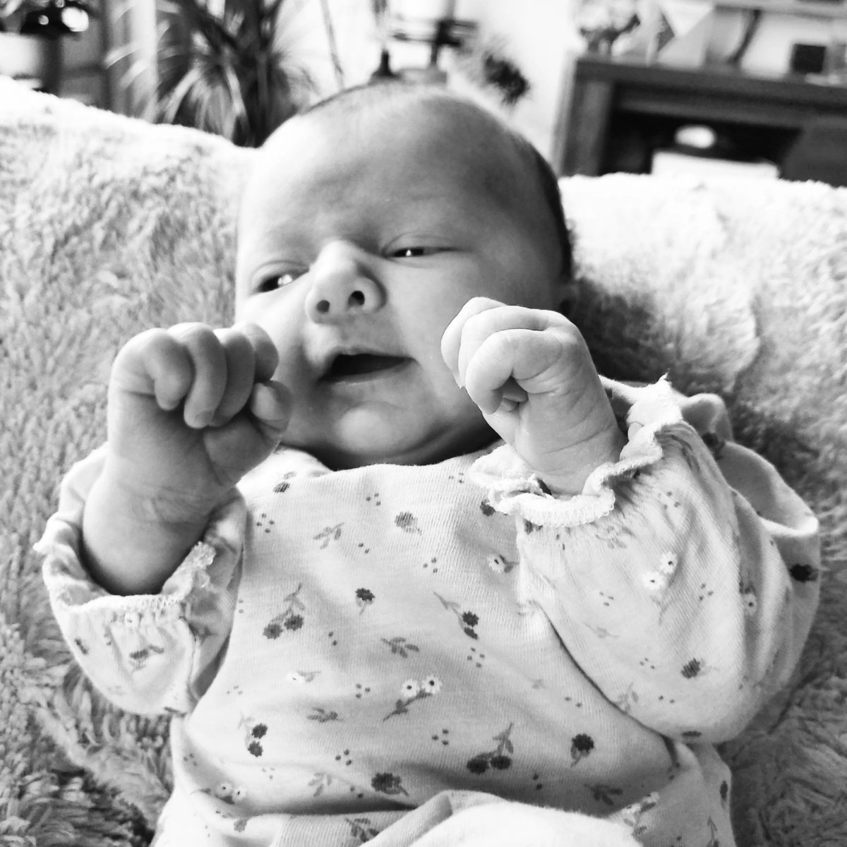 Sanne tweet media