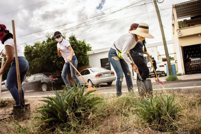 isjuventudbcs's tweet photo. El fin de semana continuaremos con la campaña de limpieza en la ciudad 🤩🙌
El sábado pasado nos acompañaron jóvenes voluntarios y personal del #ISIPD y su director general Prof. Jorge Vale, a limpiar Blvd. Santa Bárbara de Miramar ✅ https://t.co/UID07zvrfy