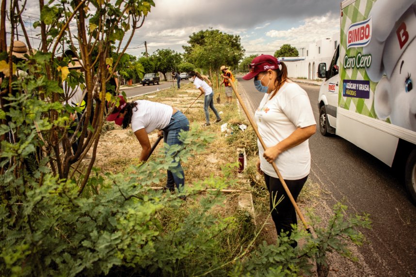 isjuventudbcs's tweet photo. El fin de semana continuaremos con la campaña de limpieza en la ciudad 🤩🙌
El sábado pasado nos acompañaron jóvenes voluntarios y personal del #ISIPD y su director general Prof. Jorge Vale, a limpiar Blvd. Santa Bárbara de Miramar ✅ https://t.co/UID07zvrfy