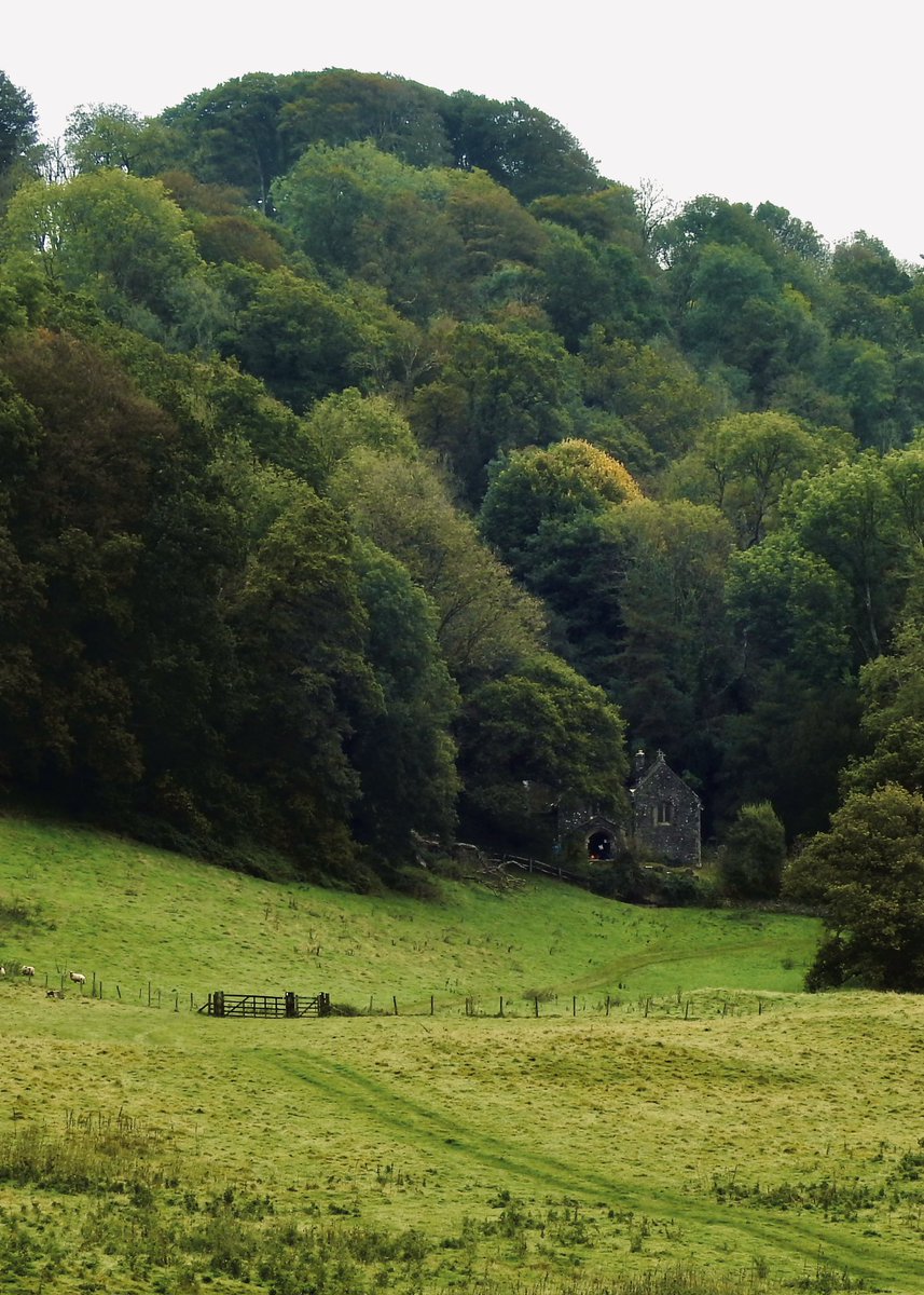 ItsYourWales's tweet photo. Y llwybyr traws gwlad brydferth tuag at Eglwys Llandyfeisant ar stâd Dinefwr Llandeilo.
The beautiful cross country track to Llandyfeisant Church on the Dinefwr estate Llandeilo. 
Courtesy @AledHall #WelshPassion https://t.co/3N96ZuBoH3