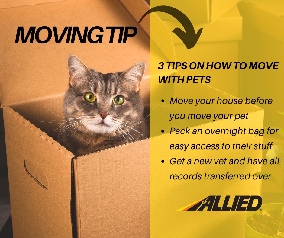 ColemanAllied's tweet image. Moving is stressful on adults, let alone pets. On World Animal Day we thought we'd share some helpful tips for your furry friends while moving. #Catogram #moving #packingtips #relocation #logistics #realestate