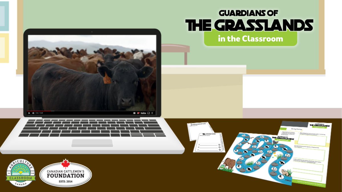 Introducing the Guardians of the Grasslands in the Classroom! @CdnCattlemenFdn 
 
It includes questions to accompany the Guardians of the Grasslands doc, and two engaging extension activities: an online scavenger hunt and a research based board game! bit.ly/3fKn03I