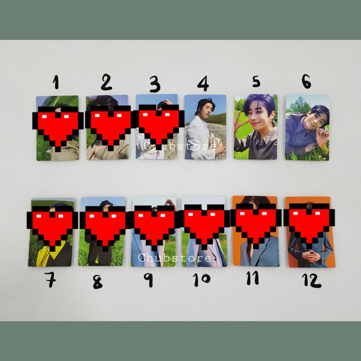 BBbearstore tweet media