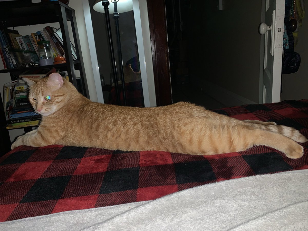 This mf Frank wants to be a model so bad