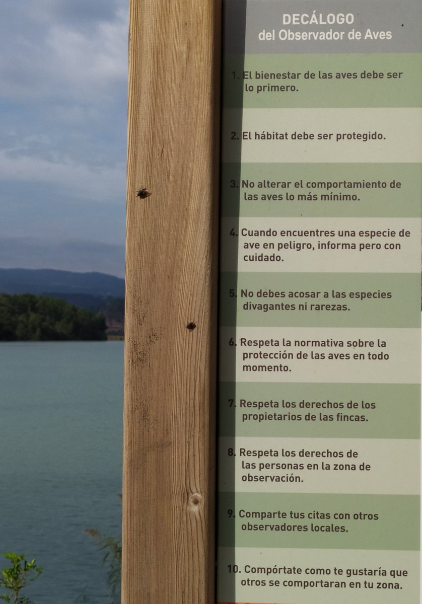 mtq_Barcelona's tweet photo. A disfrutar. #ponuncorrectorentuvida https://t.co/SJ8TrWdH3E