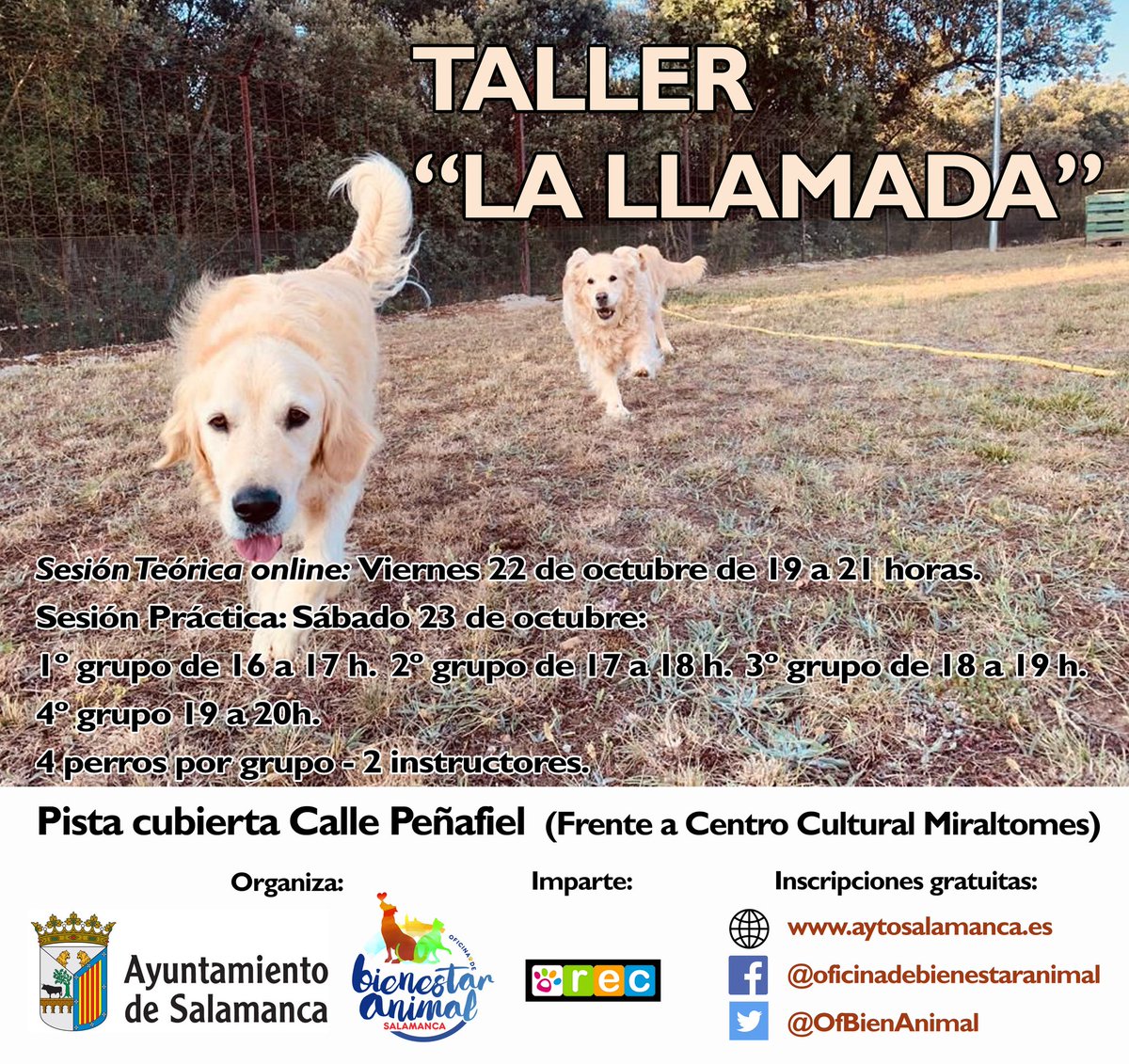 OfBienAnimal's tweet photo. ‼️ Atención ‼️ Mañana a las 16:00 horas se abre el plazo para inscribirse en el Taller "La Llamada" para perros‼️🐶
✅ Sesión teórica: 22 de Octubre
✅ Sesión práctica: 23 de Octubre
✅ ¿Dónde? C/ Peñafiel Inscripción gratuita  https://t.co/QjYR2DZHuE https://t.co/Se9kv9zOSD