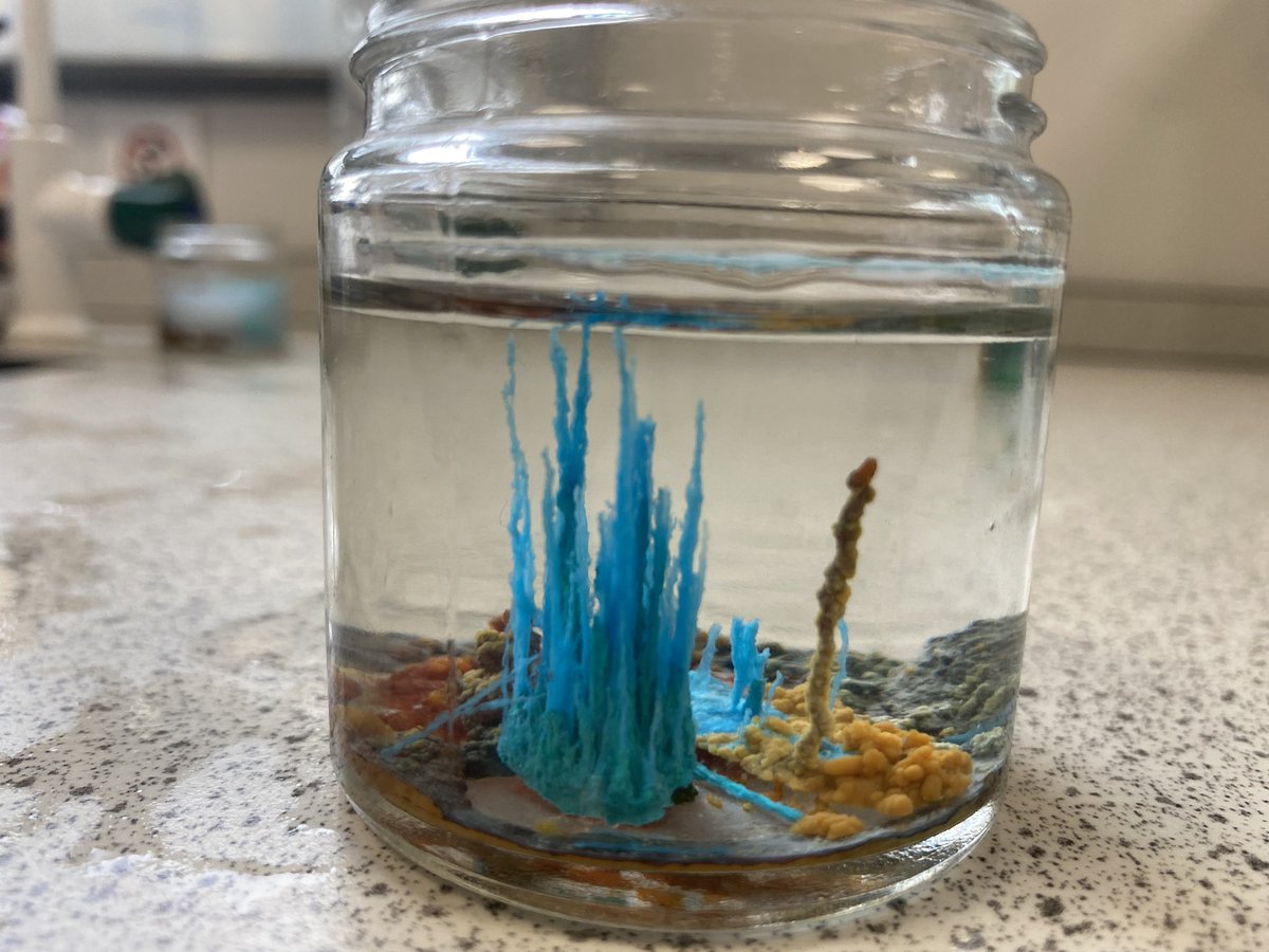 NCEAScience's tweet photo. Fabulous science enrichment going on today! Crystal gardens, rainbow density experiments and robots that can drive themselves! #stemclubs #enrichment #collaboration https://t.co/j24RN4CDoV