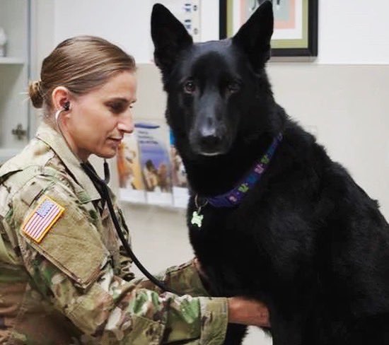 Shout out to all our #army #veterinarians and #vettechs for taking care of all our military #animals and the #pets within our army community. #vettechweek #thankyou #veterinarymedicine