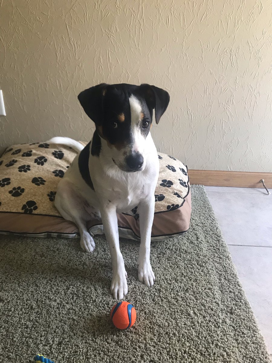 His faces kill me 😂😂😂