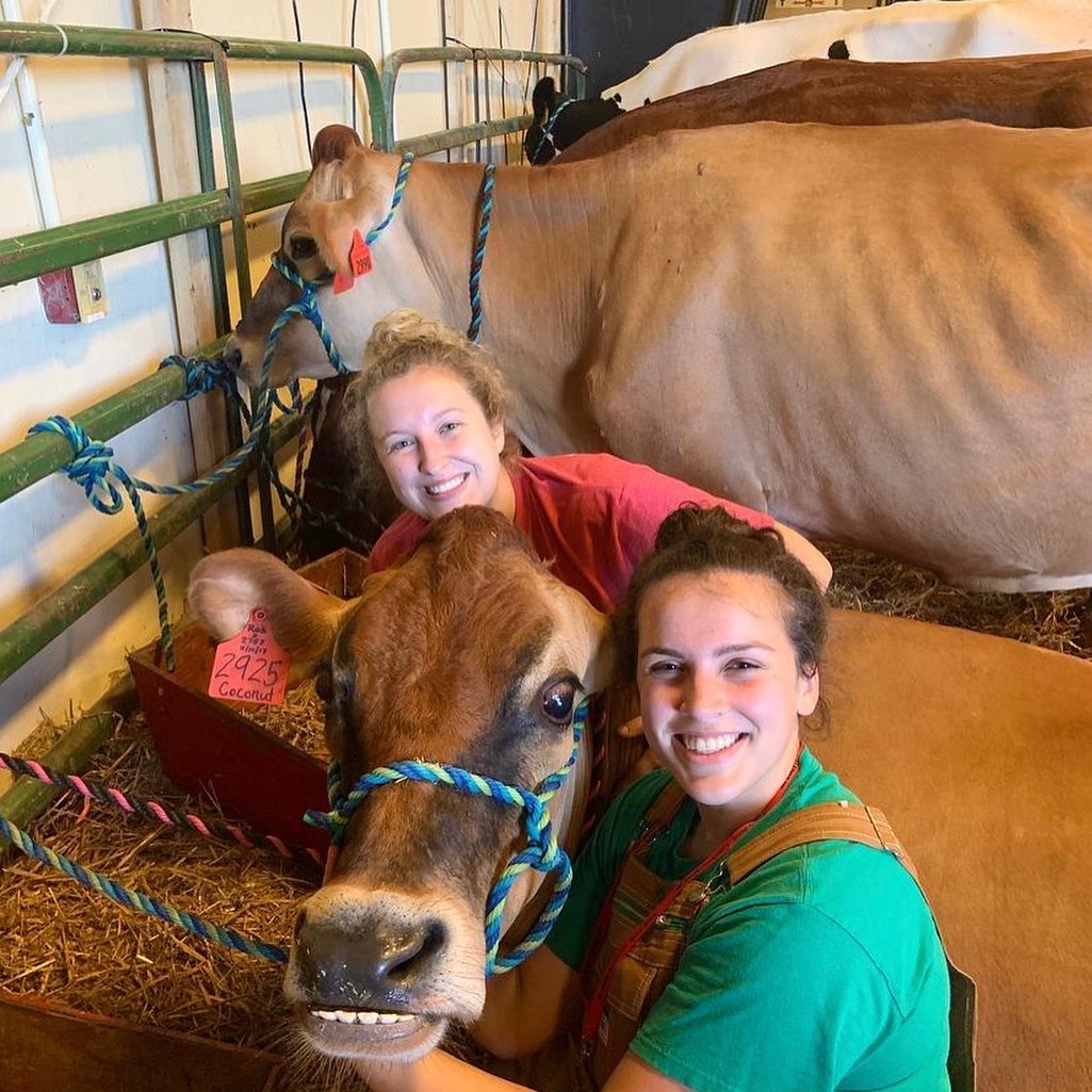 NCStateCALS's tweet image. Monday MOO-D 🐄

Visit the animal science club milk booth at the @NCStateFair for a hands-on experience, plus a carton of Howling Cow milk! 🥛😋