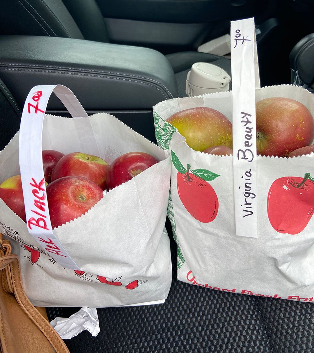 gracepenn's tweet photo. Introducing my Weekly Meal Mix, aka my weekly meal plan! See what we're eating and snacking on this week. https://t.co/tM2856Li4K https://t.co/Rq5ZBLztT4
