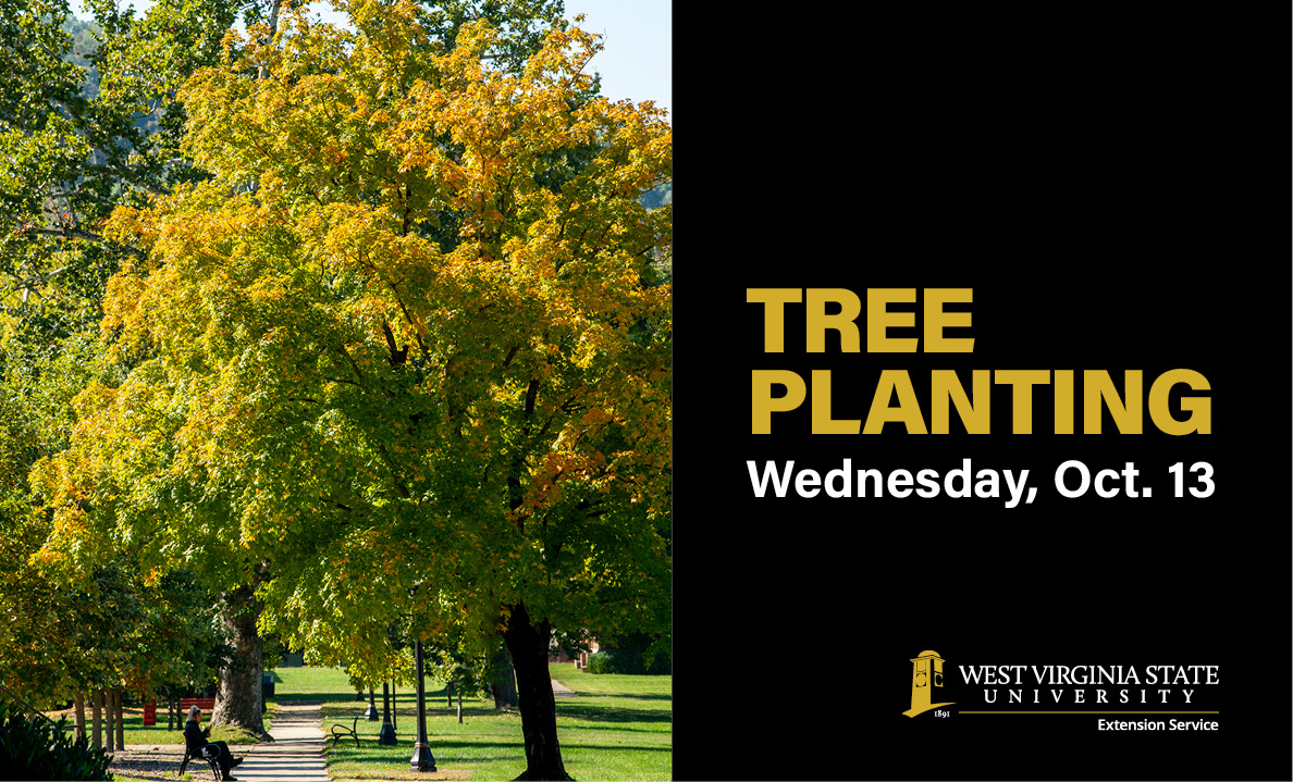Join us Wednesday, October 13, from 9 to 12 for a Tree Planting Day on campus! <a href="/WVStateU/">West Virginia State University</a> faculty, staff, students, alumni and community members are invited to help beautify the campus by planting trees. Details: bit.ly/WVSUTreePlanti…