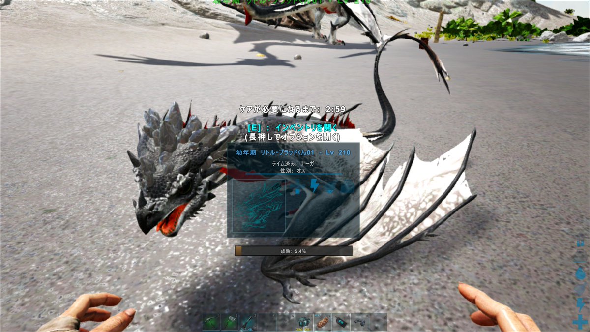 Gump Nonki ダエオドンのヒーリングが用意できたので 特別な餌のいるブリーディング も開始 移動用トロピカルと採取用ブラッドのクリスタルワイバーンを育成 前者はやや低レベル ブラッドが白黒の珍しい色でニッコリ あとレベリング帰りにティラコレオ