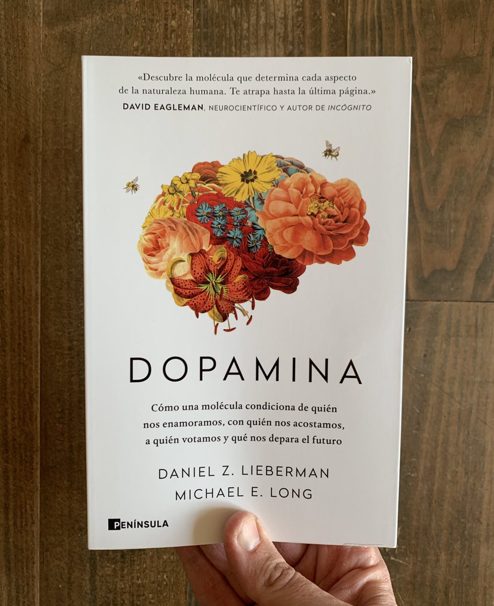 UriBoira's tweet photo. Veurem què tal aquesta recomanació de na @Elena_Neira sobre neurociència aplicada a comportaments humans, útil, entre altres, per al disseny d’#apps i #videojocs https://t.co/gbxF4kg0a2