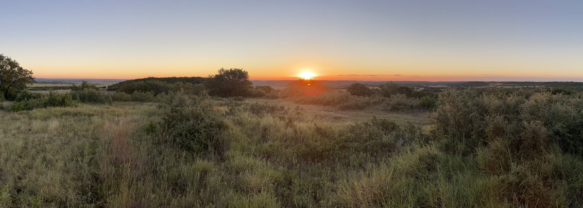 barbiedoll_eyw's tweet photo. I can see for miles! Gm from Saddle Hill Look out #TenTripleXRanch #Glenrose #texas #sunrise https://t.co/WcBEG9ywo2