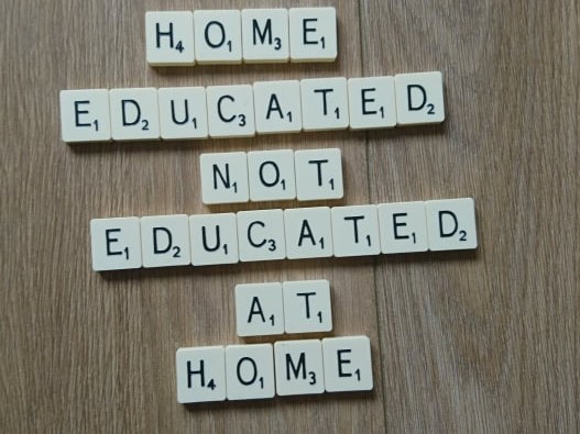 Home Education Scotland tweet media