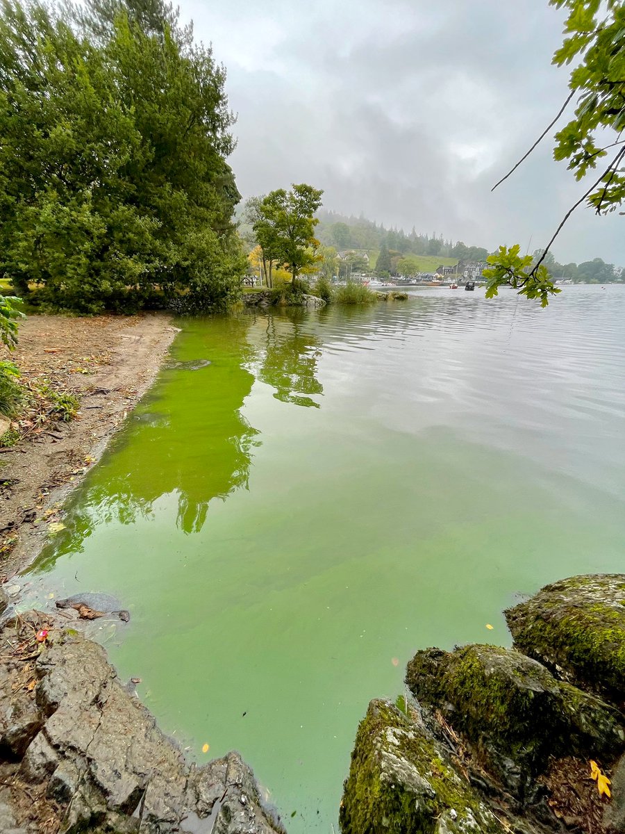 @AaronBastani We need Water & Sewage to be in Public Hands Now
This is Windermere 
Pls share this #shitPetition that with an extra 25K votes will require Parliament (remember where Govt once took place) to debate untreated sewage being discharged
Petition ends today
petition.parliament.uk/petitions/5823…