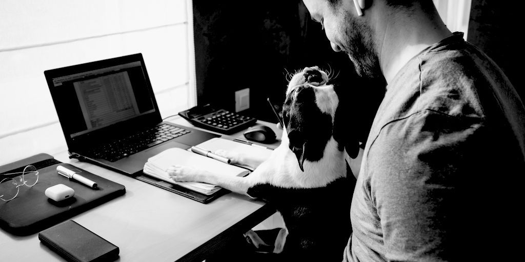 truefitpgh's tweet photo. Are you stuck working for a company that isn't clear on who will be required to come back to the office and when? Come work for us! We were hybrid before hybrid was a thing! https://t.co/Q8whKoHj6c https://t.co/bEICKmK9T1