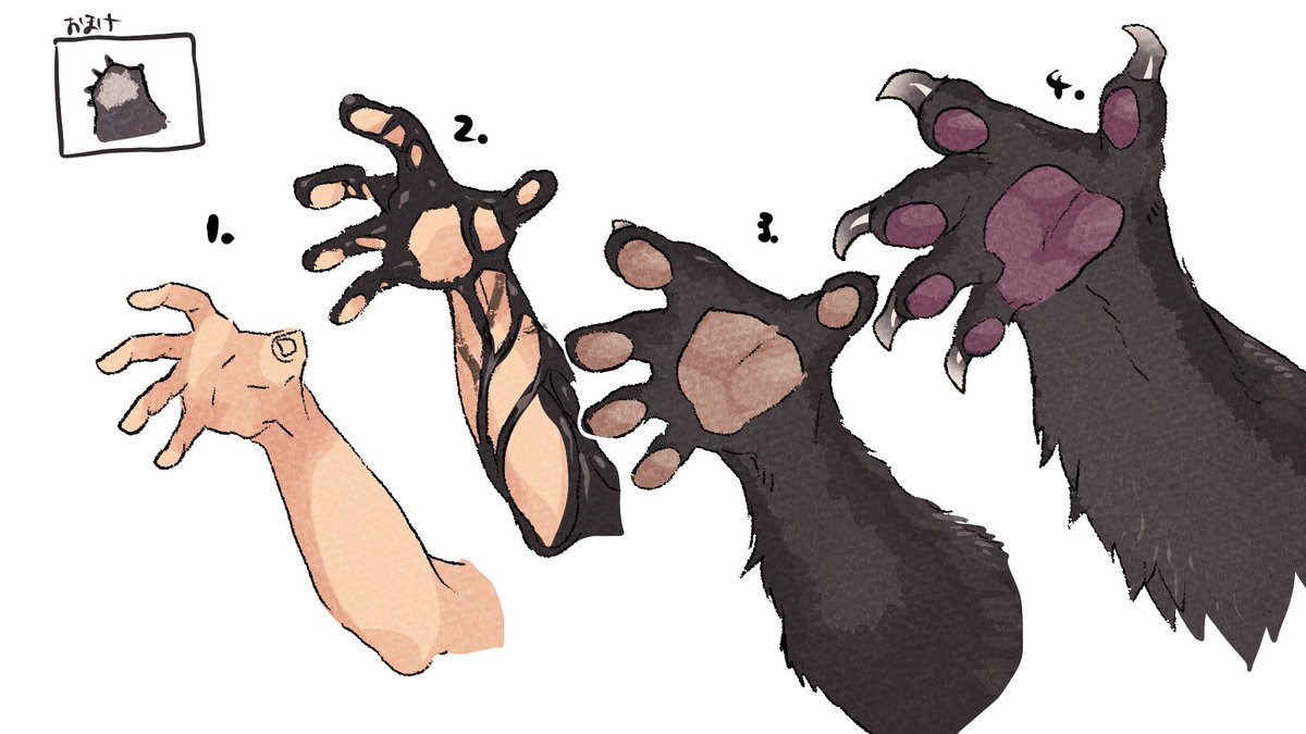 white background simple background disembodied limb claws animal hands pawpads male focus  illustration images