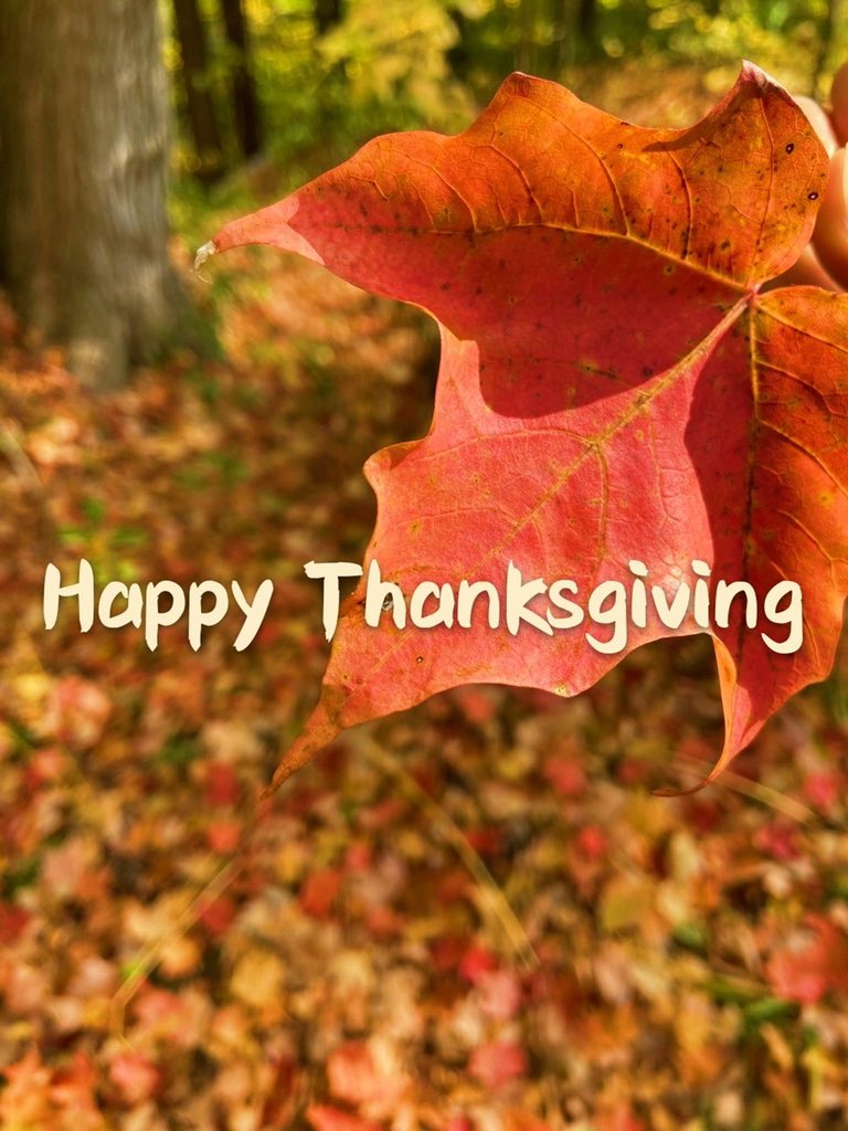 Happy Thanksgiving 🍁 from Greenland Group Canada!

#HappyThanksgiving #Thankful #Builder #TurkeyDay