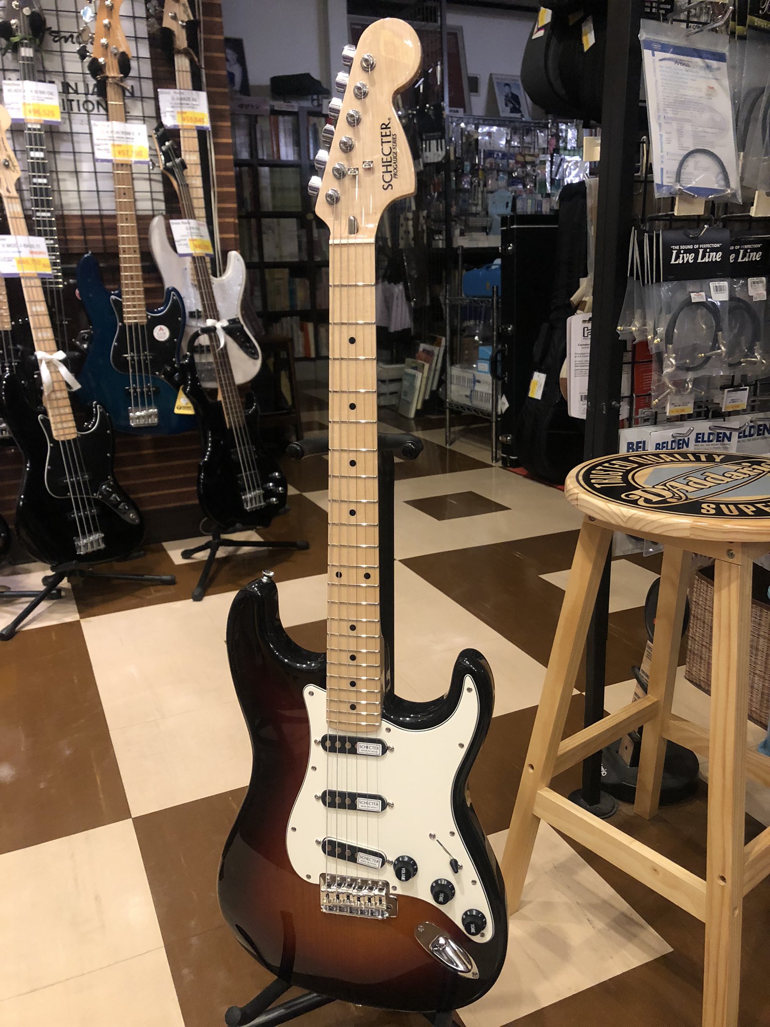 Schecter スポット生産　プロゲージシリーズ ストラトタイプ Schecter スポット生産 プロゲージシリーズ ストラトタイプ
