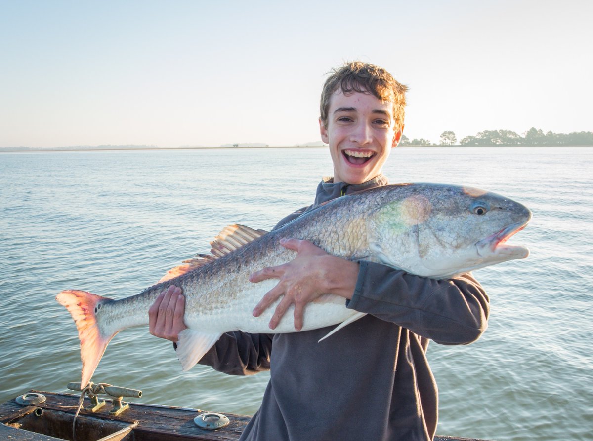 Discover_SC's tweet photo. Explore the Palmetto State’s beautiful waters and make memories that will last a lifetime when you #FishinSC! https://t.co/eD5TTlsKT0 #DiscoverSC https://t.co/fvgyVBhSx8