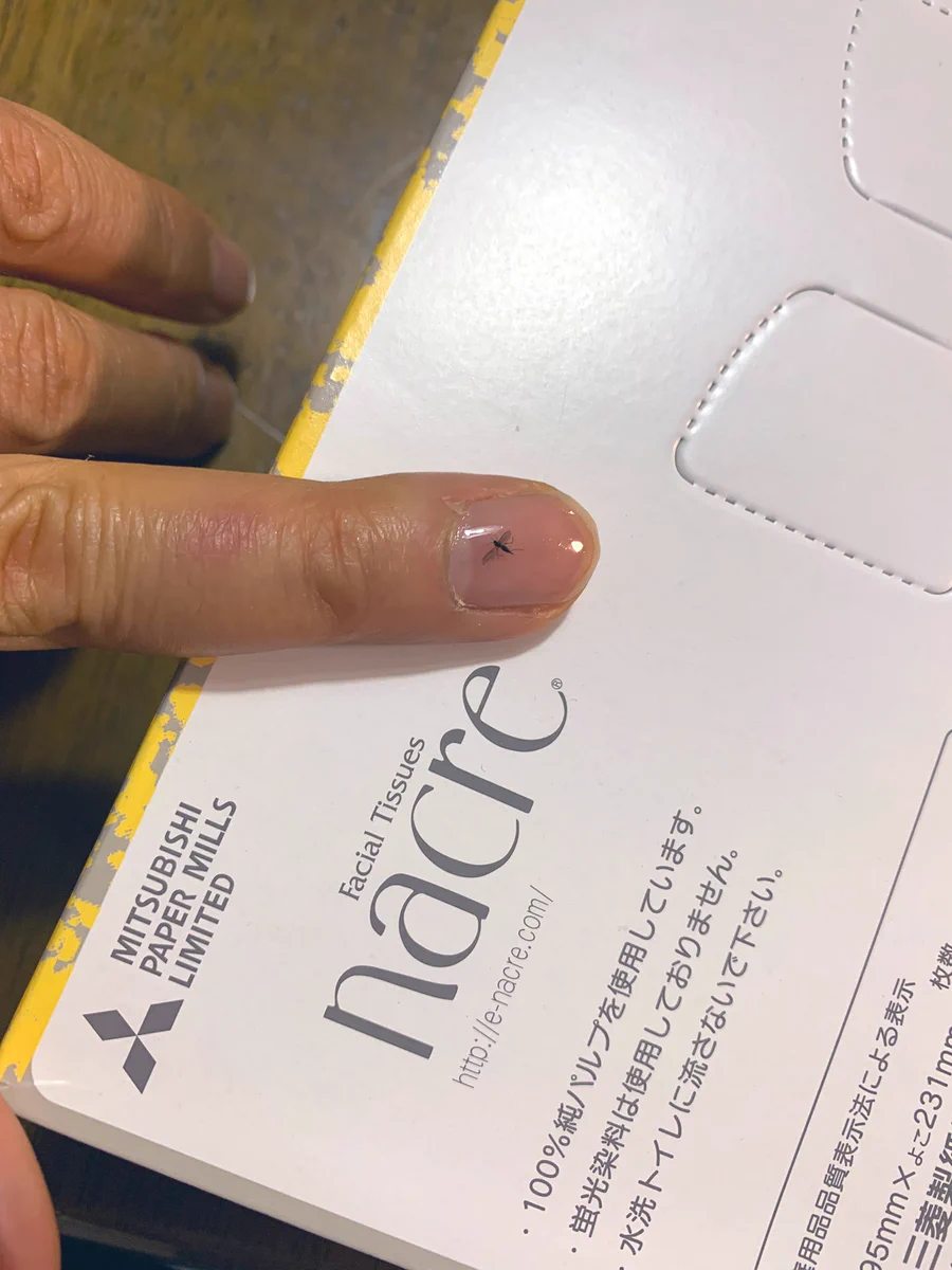 そんな事ってある？！ジェルネイルの硬化が終わってみてみると…虫ネイルにwww