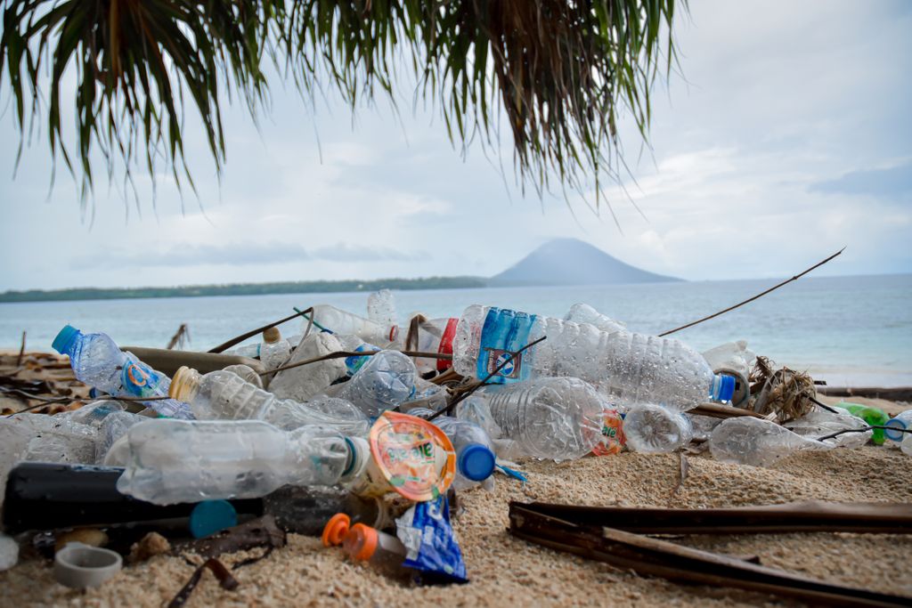 OceanheroToday's tweet photo. Tag someone that would help clean this beach with you! 👥 

We are happy to support Trash Waste Solutions in Indonesia to collect plastic from the beach! #ocean #oceanhero #collectplastic #beachclean #beachcleanup https://t.co/2kBiHLNVzu