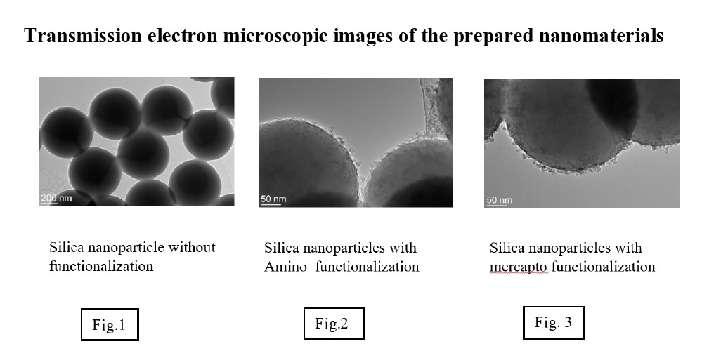 It is a #molecular mimicry at play; MeHg disguises itself as methionine, the universal start codon for #mRNA transcription to #protein in #living #systems.
More info ➡️ tinyurl.com/awdt78c7