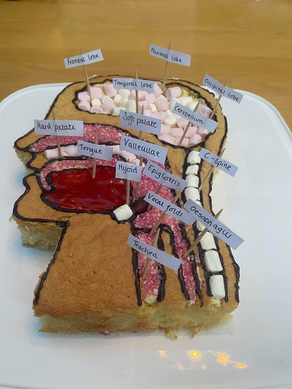 Get voting in our #AHPsDay #AHPBakeOff @LivHospitals the cake with the most likes will be crowned the winner on #AHPsDay . voting closes midnight on 13th. Here we have another Speech and Language entry created by Emma! <a href="/WeAHPs/">WeAHPs 💙</a>