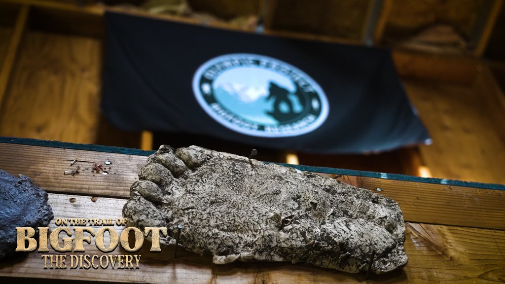 SmlTownMonsters's tweet image. On November 2nd, see for yourself the evidence that is being uncovered in the Olympics of Washington. The Small Town Monsters crew travels deep into the heart of one of the world's greatest mysteries.

Pre-order On the Trail of Bigfoot: The Discovery on DVD or Blu-Ray today!