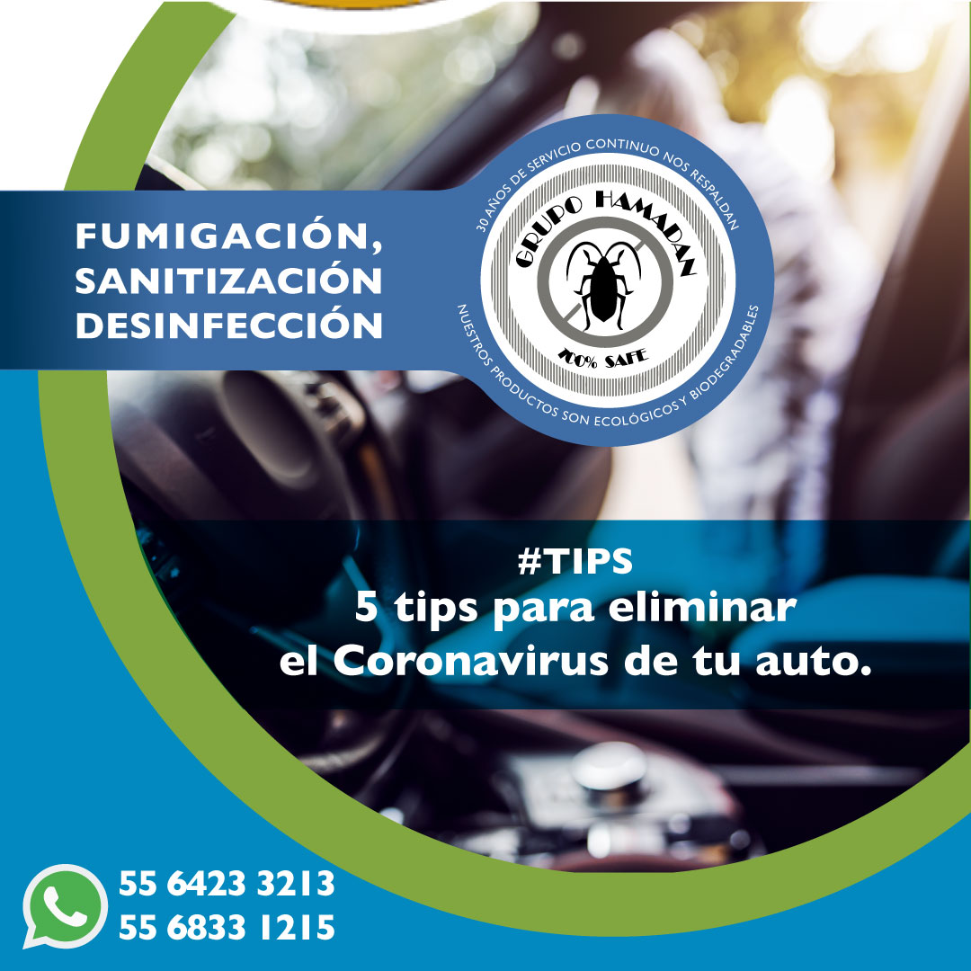 HamadanCv's tweet image. #Tips:
 1. No uses el producto directo.
 2. Limpia con alcohol isopropílico, pon atención a las partes que toca todo mundo.
 3. Si prefieres usar agua y jabón.
 4. Evita usar productos con amoniaco.
 5. Lava el trapo después de limpiar cada parte.
 #sanitizacion #desinfeccion