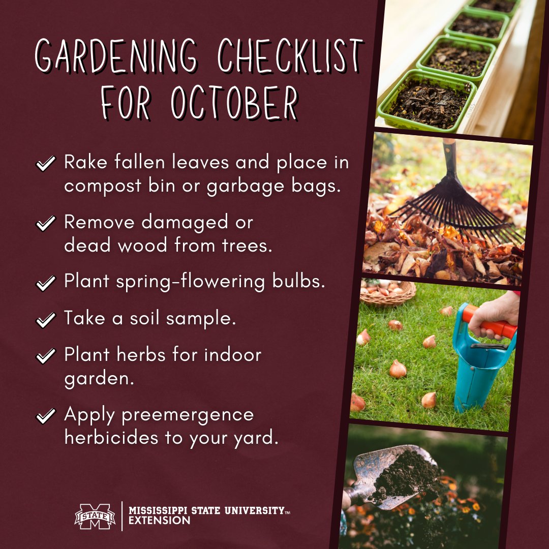 MSUExtService's tweet image. How are you doing on these gardening tasks for October?

👉Read the full blog post + access more resources here: ow.ly/jvTQ50GjN6H #ExtensionForRealLife #MSUext