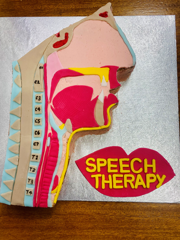 LUHFTAHPs's tweet photo. Get voting in our #AHPsDay #AHPBakeOff @LivHospitals the cake with the most likes will be crowned the winner on #AHPsDay . voting closes midnight on 13th. Here we have a Speech and Language entry by Jill! @WeAHPs https://t.co/R5a0LKwpCY
