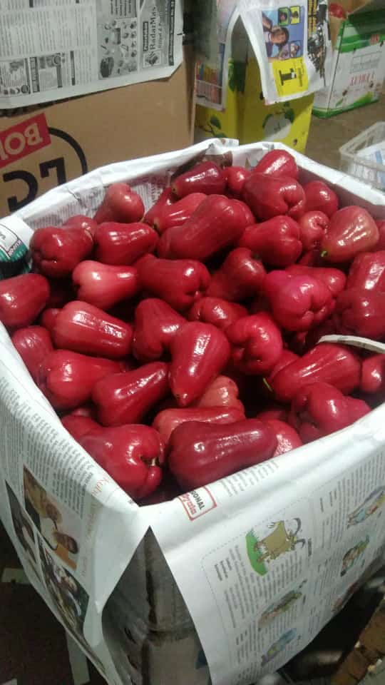 Grade A
GRADE A/B  gerak cepat bos rebutan soalnya 🙏🏾🙏🏾
Hari ini ready dan siap kirim 
❤️❤️❤️ Garansi pas barang datang 
Jambu citra bayar pas barang sampai 
Janbu citra posisi Purbalingga Jateng 
INFO ORDER klik  wa.me/6281215359997
wa.me/6283128398999