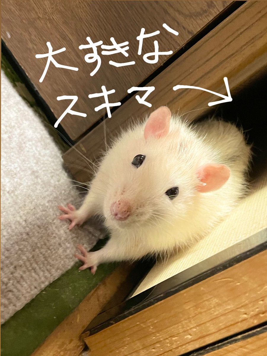 やっと出てきてくれた🥺🙌🏻